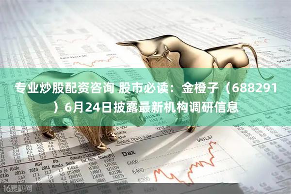 专业炒股配资咨询 股市必读：金橙子（688291）6月24日披露最新机构调研信息