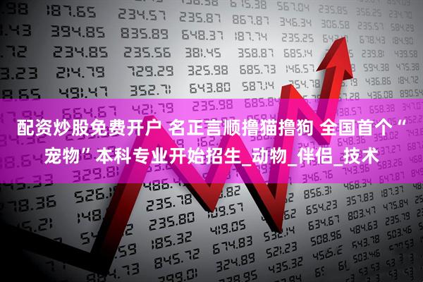 配资炒股免费开户 名正言顺撸猫撸狗 全国首个“宠物”本科专业开始招生_动物_伴侣_技术