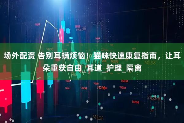 场外配资 告别耳螨烦恼！猫咪快速康复指南，让耳朵重获自由_耳道_护理_隔离