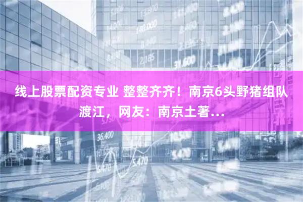 线上股票配资专业 整整齐齐！南京6头野猪组队渡江，网友：南京土著…