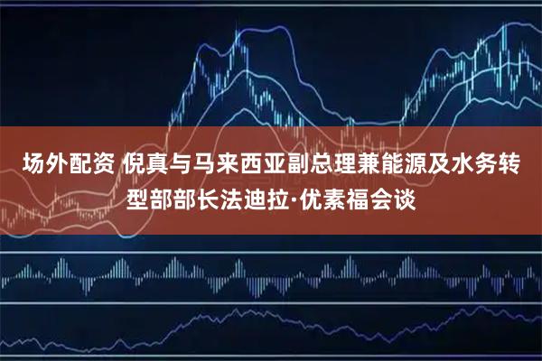 场外配资 倪真与马来西亚副总理兼能源及水务转型部部长法迪拉·优素福会谈