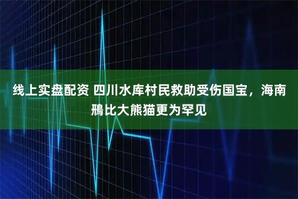 线上实盘配资 四川水库村民救助受伤国宝，海南鳽比大熊猫更为罕见